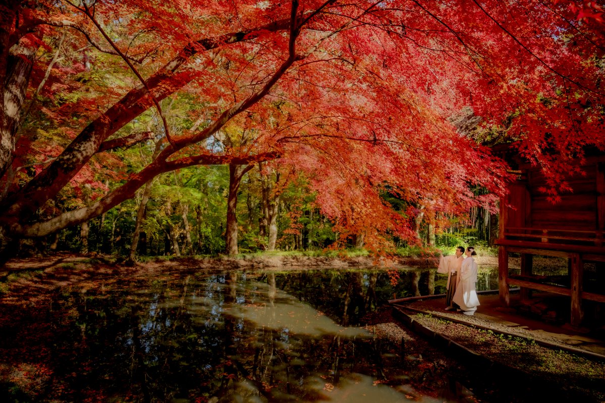 秋楓與和服