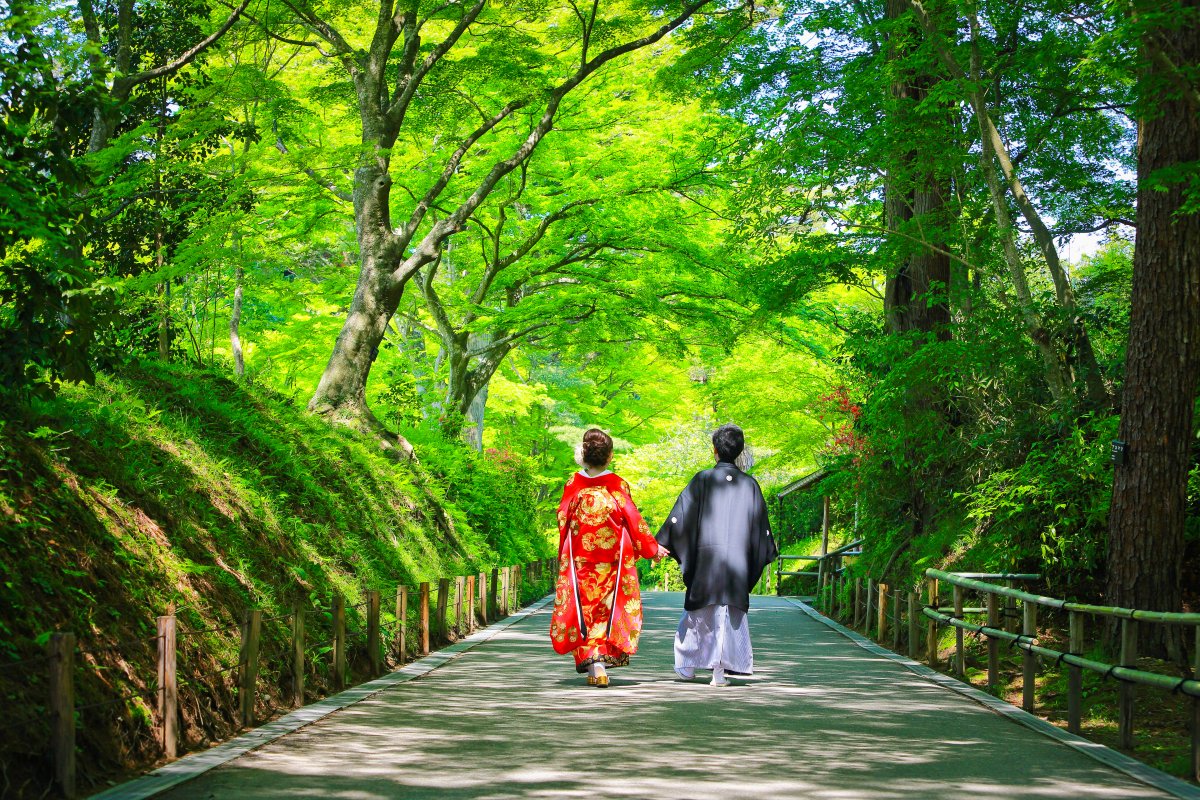 夏日新綠與和服